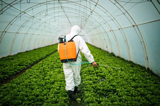 Best Pest Prevention Services  in Waurika, OK
