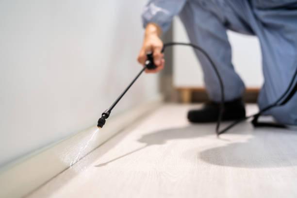 Best Best Pest Control Companies  in Waurika, OK