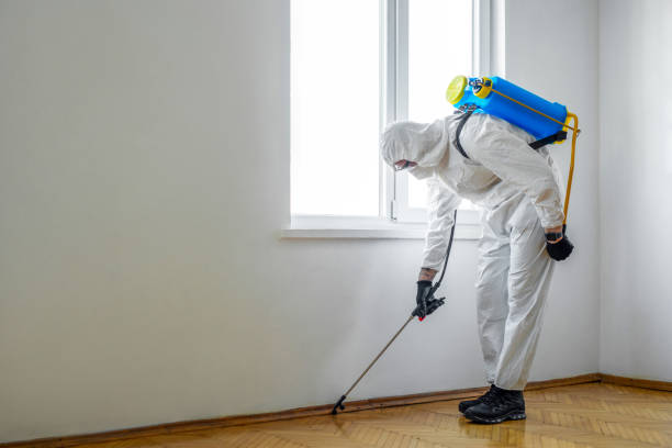 Best Affordable Pest Control Services  in Waurika, OK