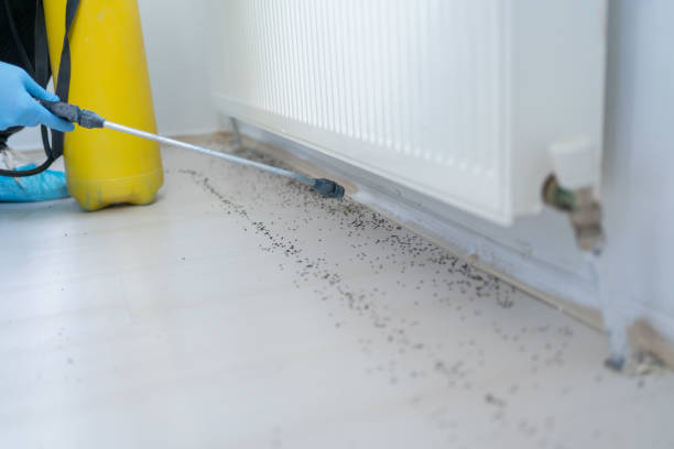 Best Insect Control  in Waurika, OK